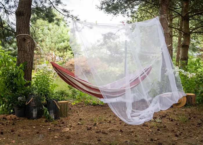 Stara Izba Samotnia Blisko Natury Aleksandria (Silesia)