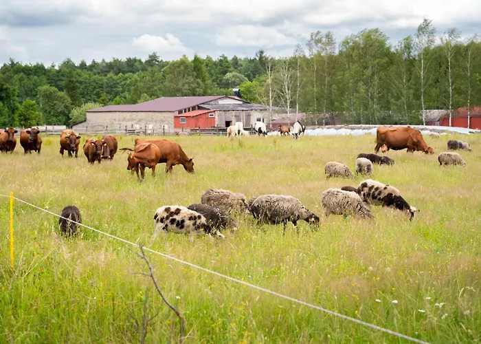 Stara Izba Samotnia Blisko Natury